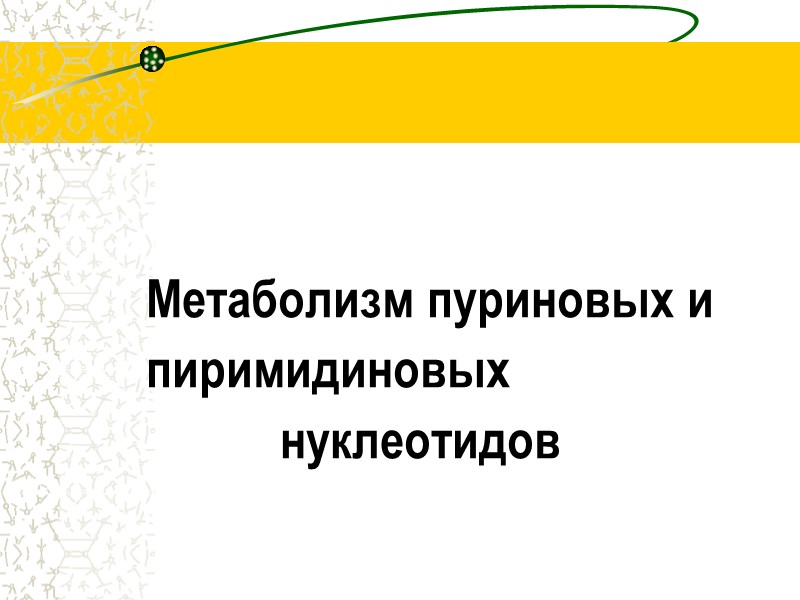 Метаболизм пуриновых и         пиримидиновых  